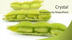  Presentation with beans legumes - Slide set with edamame soy beans shelled background and a yellow colored foreground