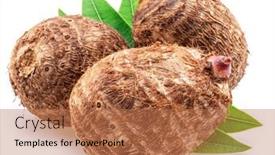  Presentation with green leaves - PPT layouts enhanced with eddoe-or-taro-tubers background and a coral colored foreground