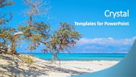  Presentation with juniper tree - Amazing presentation theme having the most beautiful uninhabited backdrop and a teal colored foreground