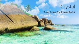  Presentation with eden - Slides enhanced with green tea anise cloves and cinnamon on wood background background and a violet colored foreground