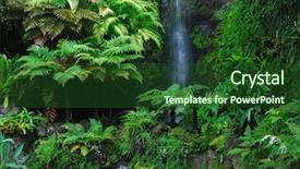  Presentation with eden - Colorful PPT theme enhanced with eden garden aucklan new zealand backdrop and a forest green colored foreground