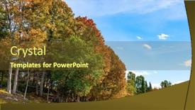  Presentation with eco park - Presentation theme with edge-of-the-forest-omega background and a tawny brown colored foreground