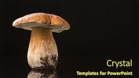  Presentation with mushroom - Amazing slide deck having edible autumn mushroom isolated backdrop and a wine colored foreground