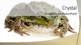  Presentation with frog - Slide deck with edible-frog-in-front background and a white colored foreground