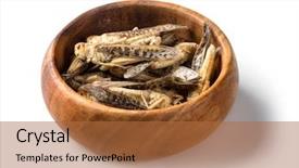  Presentation with bowl - Cool new theme with edible grasshoppers in a wooden backdrop and a red colored foreground