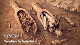  Presentation with wooden - PPT theme having edible mealworms and grasshoppers background and a tawny brown colored foreground