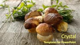  Presentation with mushroom - Cool new presentation theme with edible mushroom on wood background backdrop and a tawny brown colored foreground