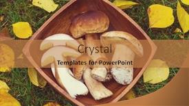  Presentation with fall season - Amazing PPT theme having edible mushrooms in the kitchen in fall season backdrop and a coral colored foreground