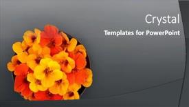  Presentation with colourful flower - Presentation theme consisting of edible-nasturtium-flower-colourful-ingredient background and a  colored foreground