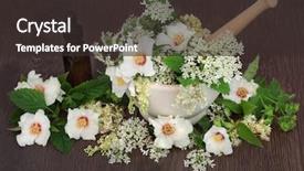  Presentation with herb - PPT layouts enhanced with edible oil - medicinal flower and herb selection background and a dark gray colored foreground
