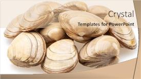  Presentation with clams - Slide deck with edible-raw-clams-isolated background and a lemonade colored foreground