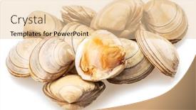  Presentation with clams - Slide deck featuring edible-raw-clams-isolated background and a lemonade colored foreground