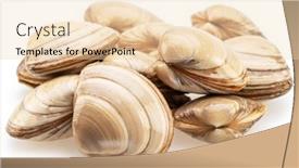  Presentation with clams - Slides consisting of edible-raw-clams-isolated background and a lemonade colored foreground
