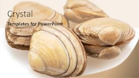  Presentation with clams - Slide set with edible-raw-clams-isolated background and a lemonade colored foreground