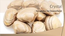  Presentation with clams - Presentation design having edible-raw-clams-isolated background and a lemonade colored foreground