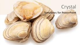  Presentation with clams - Slides with edible-raw-clams-isolated background and a lemonade colored foreground
