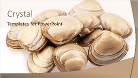  Presentation with clams - Slide set featuring edible-raw-clams-isolated background and a lemonade colored foreground