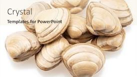  Presentation with clams - Slides with edible-raw-clams-isolated background and a lemonade colored foreground