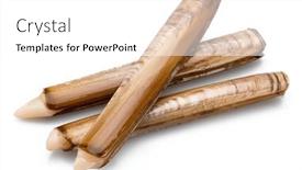  Presentation with food white - Presentation theme featuring edible-raw-razor-clams-isolated background and a white colored foreground