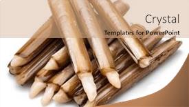  Presentation with food white - Slides with edible-raw-razor-clams-isolated and a coral colored foreground