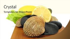  Presentation with venus - Colorful theme enhanced with edible-shell-mollusc-warty-venus backdrop and a blonde colored foreground