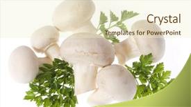 Presentation with mushrooms - Beautiful presentation featuring edible-white-button-mushrooms-isolated backdrop and a cream colored foreground