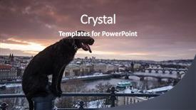  Presentation with black - Audience pleasing theme consisting of editorial - black dog posing on handrail backdrop and a violet colored foreground