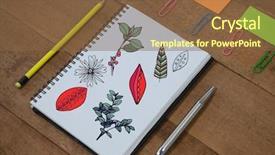  Presentation with tree - Slide set enhanced with education clip art - digital composite of tree branches background and a tawny brown colored foreground