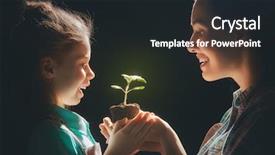  Presentation with green development - Presentation theme enhanced with education parents growth - concept of generation and development background and a wine colored foreground