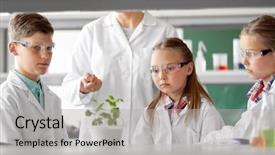  Presentation with plant science - Beautiful presentation theme featuring education science and school concept backdrop and a light gray colored foreground