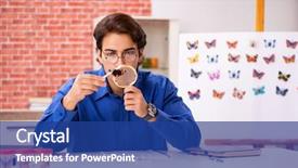  Presentation with new babie - PPT theme having magnifying glass butterfly - student entomologist studying new species background and a ocean colored foreground