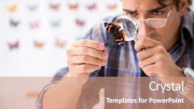  Presentation with biomedical new - PPT theme having magnifying glass butterfly - student entomologist studying new species background and a coral colored foreground