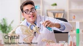  Presentation with veterinary - Cool new presentation design with education veterinary - funny scientist with cat skeleton backdrop and a soft green colored foreground