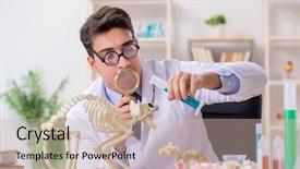  Presentation with veterinary - Amazing presentation design having education veterinary - funny scientist with cat skeleton backdrop and a soft green colored foreground