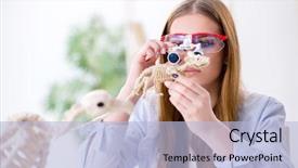  Presentation with skeleton - Slide set with education veterinary - student examining animal skeleton background and a light blue colored foreground