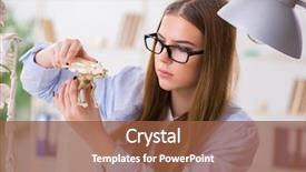  Presentation with skeleton - Theme enhanced with education veterinary - student examining animal skeleton background and a tawny brown colored foreground