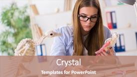  Presentation with ecology animal - Beautiful theme featuring education veterinary - student examining animal skeleton backdrop and a coral colored foreground