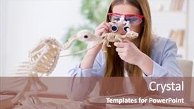  Presentation with animal - Slides enhanced with education veterinary - student examining animal skeleton background and a tawny brown colored foreground