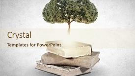  Presentation with growing tree - PPT layouts enhanced with educational background - conceptual image with green tree background and a lemonade colored foreground