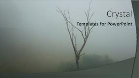  Presentation with bald - Amazing presentation design having eerie-bald-tree-stands-lonely backdrop and a light gray colored foreground