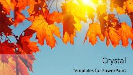  Presentation with autumn leaves - PPT layouts having efective - autumn leaves on sky toned background and a  colored foreground