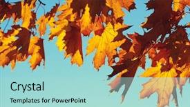  Presentation with autumn leaves - Beautiful presentation design featuring efective - autumn leaves on sky toned backdrop and a  colored foreground