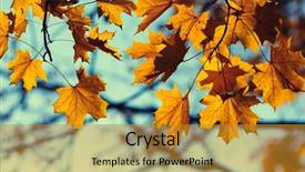  Presentation with fall leaves border autumn - Audience pleasing slide deck consisting of efective - autumn leaves on sky toned backdrop and a  colored foreground