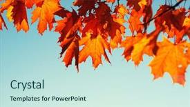  Presentation with fall leaves border autumn - Cool new theme with efective - autumn leaves on sky toned backdrop and a  colored foreground