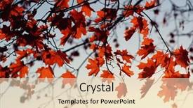  Presentation with fall leaves border autumn - Audience pleasing PPT layouts consisting of efective - autumn leaves on sky toned backdrop and a  colored foreground