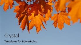  Presentation with fall leaves border autumn - Slide set featuring efective - autumn leaves on sky toned background and a  colored foreground