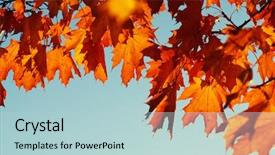  Presentation with autumn leaves falling - Presentation design with efective - autumn leaves on sky toned background and a  colored foreground