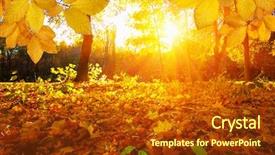  Presentation with tree sky trees green - Cool new presentation theme with efective - autumn leaves on the sun backdrop and a  colored foreground