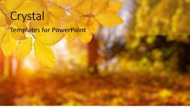  Presentation with fall leaves - Colorful slide set enhanced with efective - autumn leaves on the sun backdrop and a  colored foreground