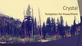  Presentation with dark forest - PPT layouts consisting of effect app or action - dark background and a cream colored foreground